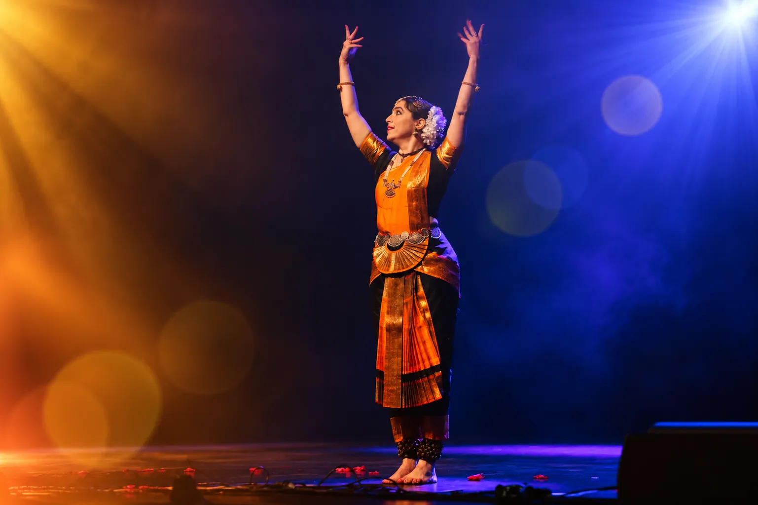 Preserving India’s Cultural Heritage